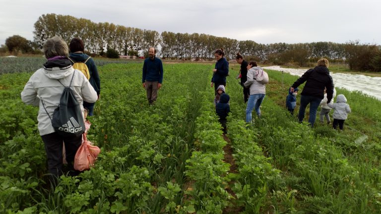 Clémence et Saturnin, des entrepreneur·euse au grand cœur et à la pédagogie joyeuse.