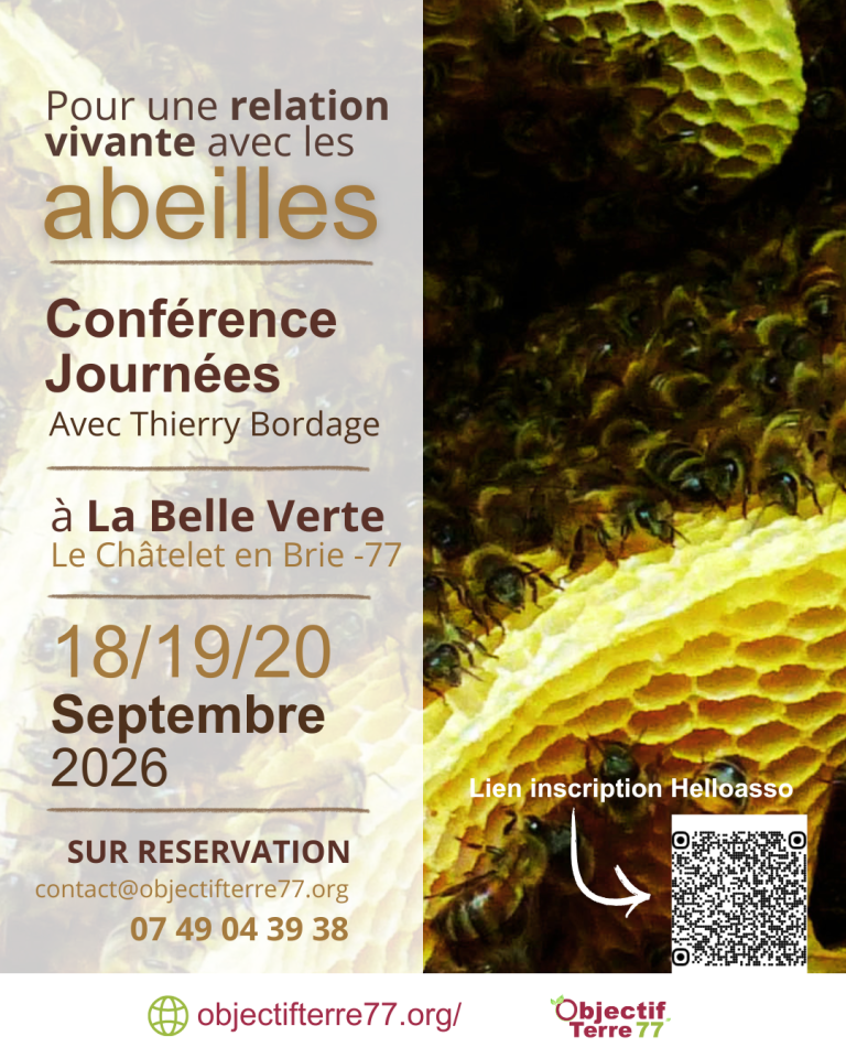 Pour une relation vivante avec les abeilles – 3 temps de rencontre